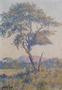 unknow artist Landscape in Namibia Spain oil painting artist